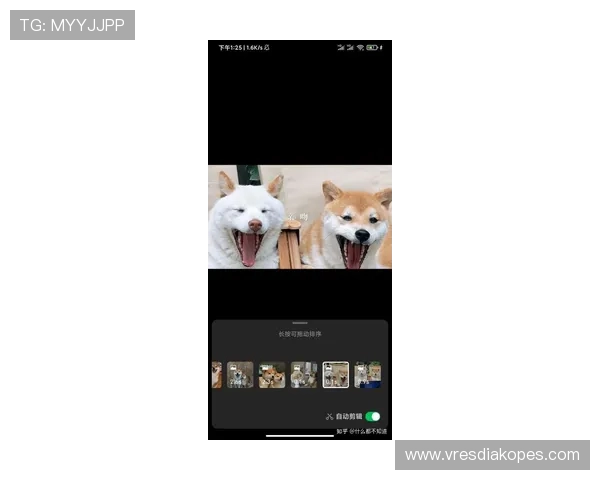 利用AG视讯安全中心官网提升游戏安全防护水平的实用技巧与建议